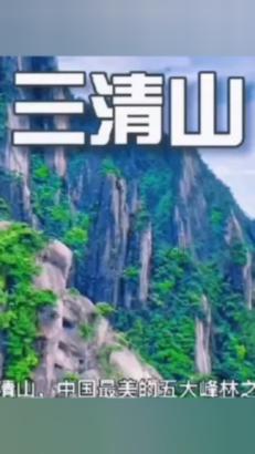 植物大战僵尸10