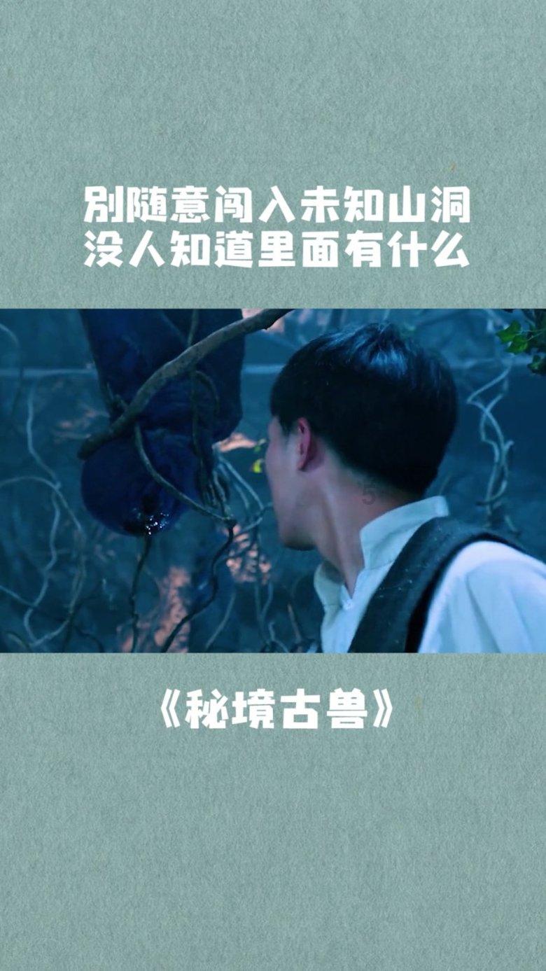 4399斗罗大陆