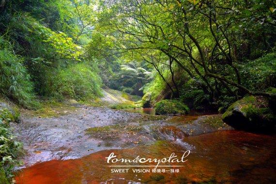 《黄貔：天降财神猫》曝民谣主题曲《有故事的人》，致敬离家闯荡的小神仙们