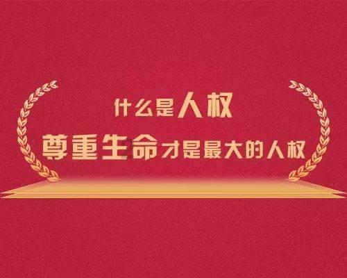 当单身成为社会潮流，你还会觉得孤独吗？游戏画面