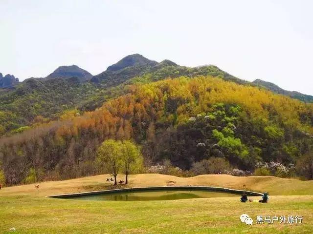 蝙蝠侠：阿甘骑士