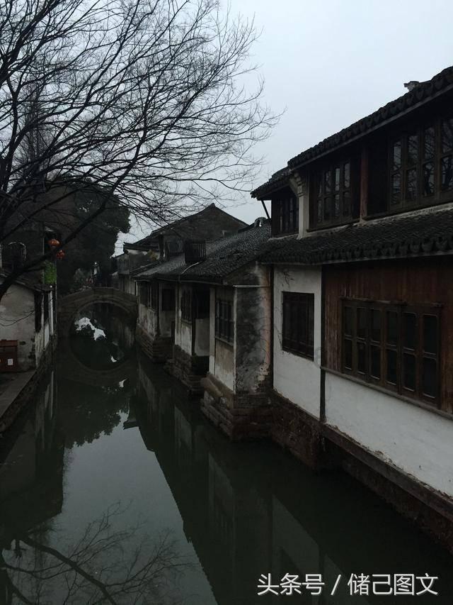 春雨直播app