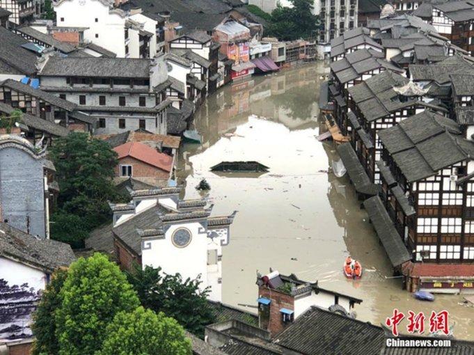 动物帮帮忙保卫家园