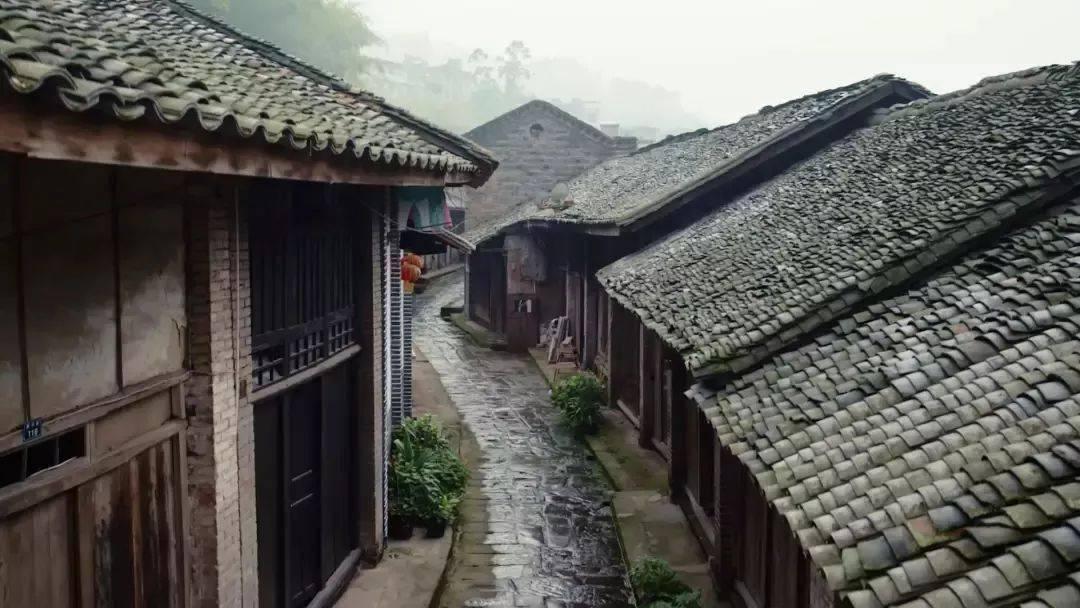洋帅盛行 亚洲杯给国足带来哪些启示