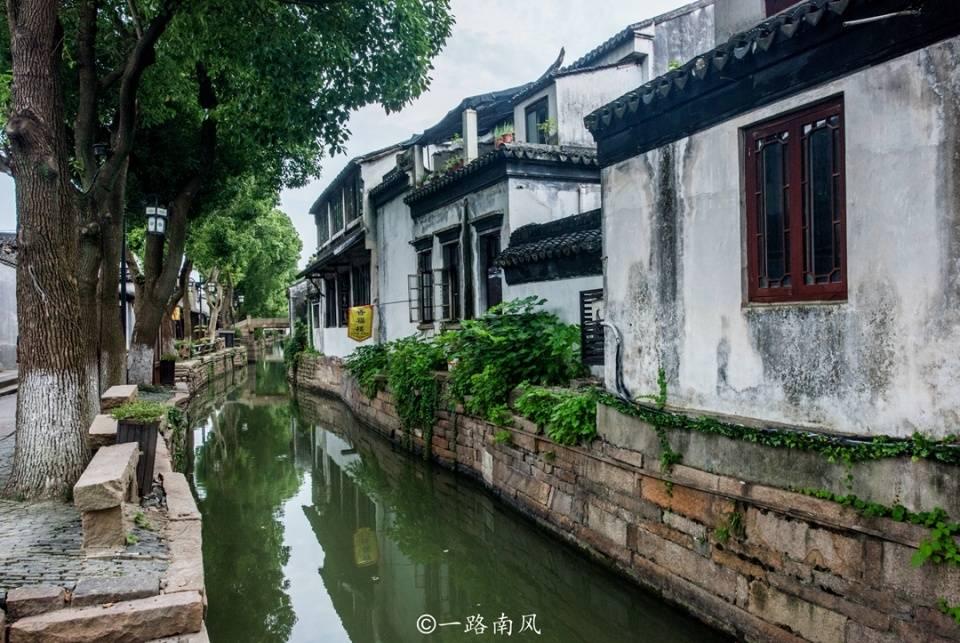 当单身成为社会潮流，你还会觉得孤独吗？游戏画面